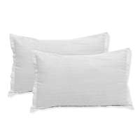 White Pillow Covers (Set of 2)