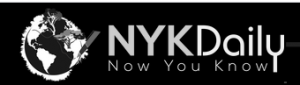 nykdaily.com